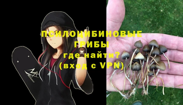 альфа пвп Ивантеевка