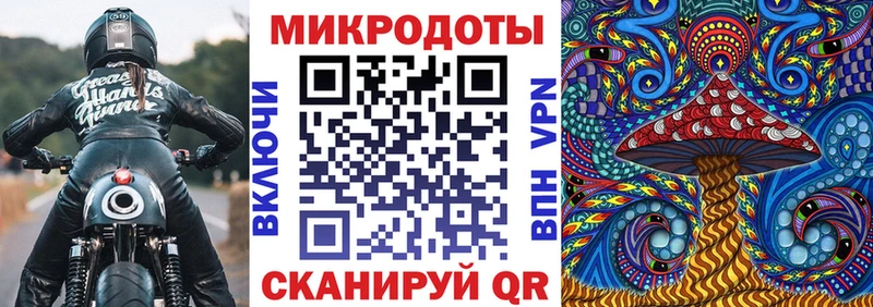 мега сайт  Исилькуль  Псилоцибиновые грибы прущие грибы  как найти  